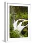 Wa, Olympic National Park, Sol Duc Falls-Jamie And Judy Wild-Framed Photographic Print