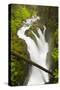 Wa, Olympic National Park, Sol Duc Falls-Jamie And Judy Wild-Stretched Canvas