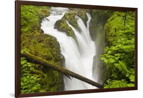 Wa, Olympic National Park, Sol Duc Falls-Jamie And Judy Wild-Framed Photographic Print