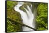 Wa, Olympic National Park, Sol Duc Falls-Jamie And Judy Wild-Framed Stretched Canvas