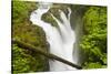 Wa, Olympic National Park, Sol Duc Falls-Jamie And Judy Wild-Stretched Canvas