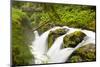 Wa, Olympic National Park, Sol Duc Falls-Jamie And Judy Wild-Mounted Photographic Print