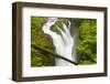 Wa, Olympic National Park, Sol Duc Falls-Jamie And Judy Wild-Framed Photographic Print