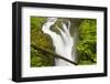 Wa, Olympic National Park, Sol Duc Falls-Jamie And Judy Wild-Framed Photographic Print