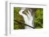 Wa, Olympic National Park, Sol Duc Falls-Jamie And Judy Wild-Framed Photographic Print