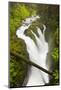 Wa, Olympic National Park, Sol Duc Falls-Jamie And Judy Wild-Mounted Photographic Print