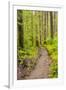 Wa, Olympic National Park, Sol Duc Valley, Forest Trail-Jamie And Judy Wild-Framed Photographic Print