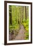 Wa, Olympic National Park, Sol Duc Valley, Forest Trail-Jamie And Judy Wild-Framed Photographic Print