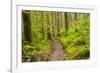 Wa, Olympic National Park, Sol Duc Valley, Forest Trail-Jamie And Judy Wild-Framed Photographic Print