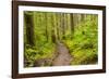 Wa, Olympic National Park, Sol Duc Valley, Forest Trail-Jamie And Judy Wild-Framed Photographic Print