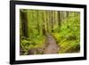 Wa, Olympic National Park, Sol Duc Valley, Forest Trail-Jamie And Judy Wild-Framed Photographic Print