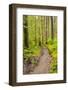 Wa, Olympic National Park, Sol Duc Valley, Forest Trail-Jamie And Judy Wild-Framed Photographic Print