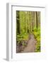 Wa, Olympic National Park, Sol Duc Valley, Forest Trail-Jamie And Judy Wild-Framed Photographic Print