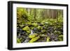 Wa, Olympic National Park, Sol Duc Valley, Stream with Mossy Rocks-Jamie And Judy Wild-Framed Photographic Print