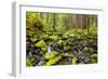 Wa, Olympic National Park, Sol Duc Valley, Stream with Mossy Rocks-Jamie And Judy Wild-Framed Photographic Print