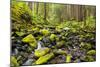 Wa, Olympic National Park, Sol Duc Valley, Stream with Mossy Rocks-Jamie And Judy Wild-Mounted Photographic Print