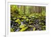 Wa, Olympic National Park, Sol Duc Valley, Stream with Mossy Rocks-Jamie And Judy Wild-Framed Photographic Print