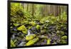 Wa, Olympic National Park, Sol Duc Valley, Stream with Mossy Rocks-Jamie And Judy Wild-Framed Photographic Print