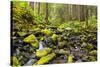 Wa, Olympic National Park, Sol Duc Valley, Stream with Mossy Rocks-Jamie And Judy Wild-Stretched Canvas