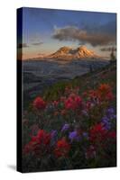 WA. Paintbrush and Penstemon wildflowers at Mount St. Helens Volcanic National Monument-Gary Luhm-Stretched Canvas