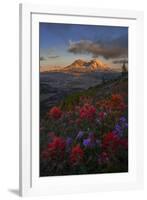 WA. Paintbrush and Penstemon wildflowers at Mount St. Helens Volcanic National Monument-Gary Luhm-Framed Photographic Print