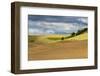 WA. Palouse, Whitman County, Palouse hills between St. John and Endicott-Alison Jones-Framed Photographic Print