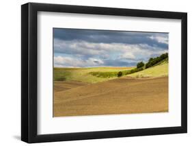 WA. Palouse, Whitman County, Palouse hills between St. John and Endicott-Alison Jones-Framed Photographic Print