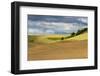 WA. Palouse, Whitman County, Palouse hills between St. John and Endicott-Alison Jones-Framed Photographic Print