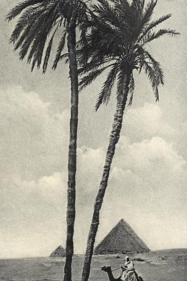 Photographic Print, , large