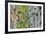 WA. Red-breasted Sapsucker flying from nest in a red alder snag while mate looks on.-Gary Luhm-Framed Photographic Print