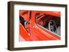 WA, Seattle, classic American automobile.-William Sutton-Framed Photographic Print