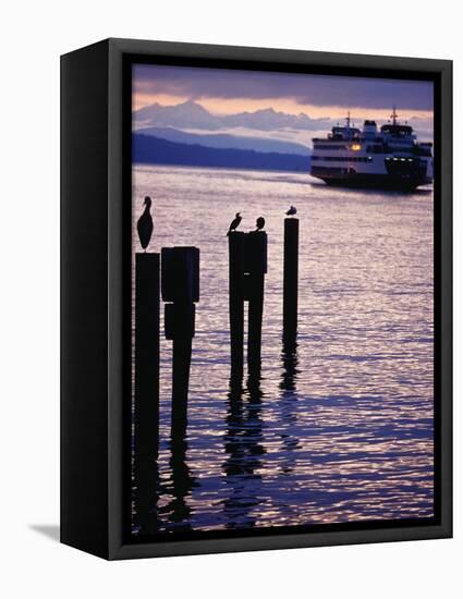 Wa State Ferry Coming in to Dock, Seattle, Washington, USA-Lawrence Worcester-Framed Stretched Canvas