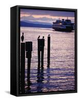 Wa State Ferry Coming in to Dock, Seattle, Washington, USA-Lawrence Worcester-Framed Stretched Canvas