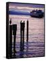 Wa State Ferry Coming in to Dock, Seattle, Washington, USA-Lawrence Worcester-Framed Stretched Canvas