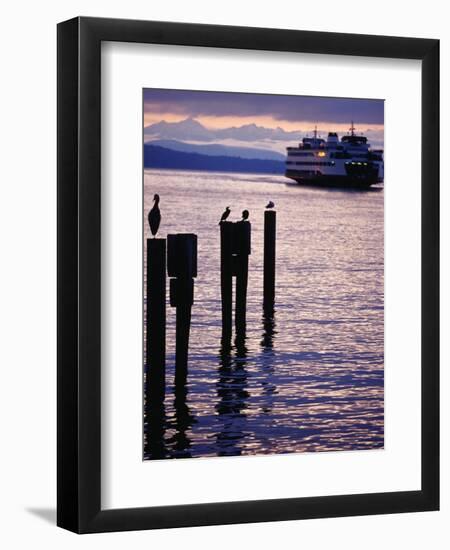 Wa State Ferry Coming in to Dock, Seattle, Washington, USA-Lawrence Worcester-Framed Photographic Print