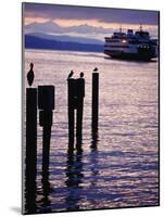 Wa State Ferry Coming in to Dock, Seattle, Washington, USA-Lawrence Worcester-Mounted Photographic Print