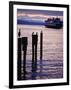 Wa State Ferry Coming in to Dock, Seattle, Washington, USA-Lawrence Worcester-Framed Photographic Print