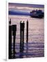 Wa State Ferry Coming in to Dock, Seattle, Washington, USA-Lawrence Worcester-Framed Photographic Print