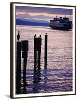 Wa State Ferry Coming in to Dock, Seattle, Washington, USA-Lawrence Worcester-Framed Photographic Print