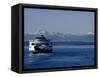 Wa State Ferry Nearing Colman, Seattle, Washington, USA-Lawrence Worcester-Framed Stretched Canvas