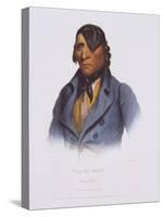 Waa-Pa-Shaaw from 'The Indian Tribes of North America'-Charles Bird King-Stretched Canvas