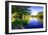 Waccamaw River-Alan Hausenflock-Framed Photo