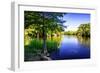 Waccamaw River-Alan Hausenflock-Framed Photo