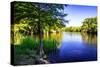 Waccamaw River-Alan Hausenflock-Stretched Canvas