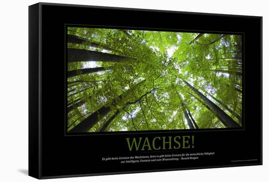 Wachse! (German Translation)-null-Framed Stretched Canvas