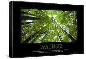 Wachse! (German Translation)-null-Framed Stretched Canvas