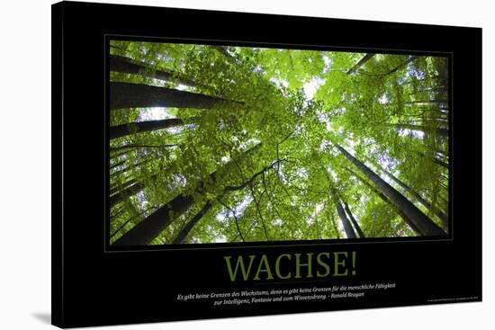 Wachse! (German Translation)-null-Stretched Canvas