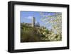 Wachtenburg Castle Ruins in Wachenheim near Bad Duerkheim, Rhineland-Palatinate, Germany-null-Framed Art Print