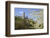 Wachtenburg Castle Ruins in Wachenheim near Bad Duerkheim, Rhineland-Palatinate, Germany-null-Framed Art Print