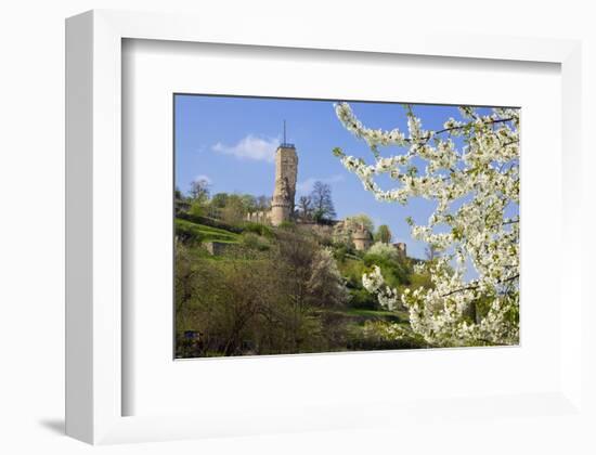 Wachtenburg Castle Ruins in Wachenheim near Bad Duerkheim, Rhineland-Palatinate, Germany-null-Framed Art Print